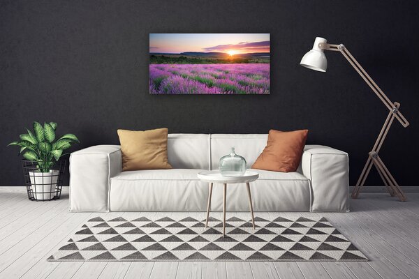 Tablou pe panza canvas Soare Meadow Flori Natura Galben Roz Verde