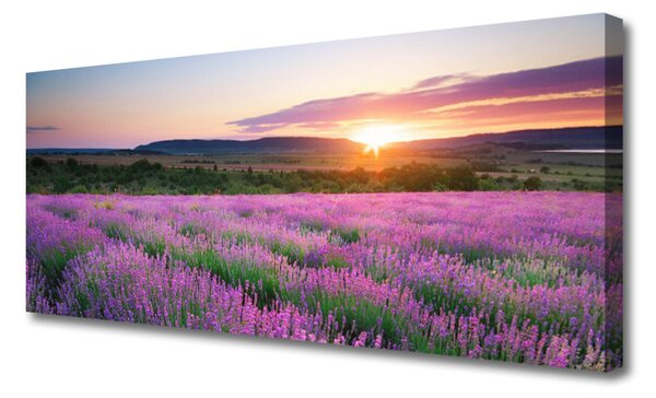 Tablou pe panza canvas Soare Meadow Flori Natura Galben Roz Verde