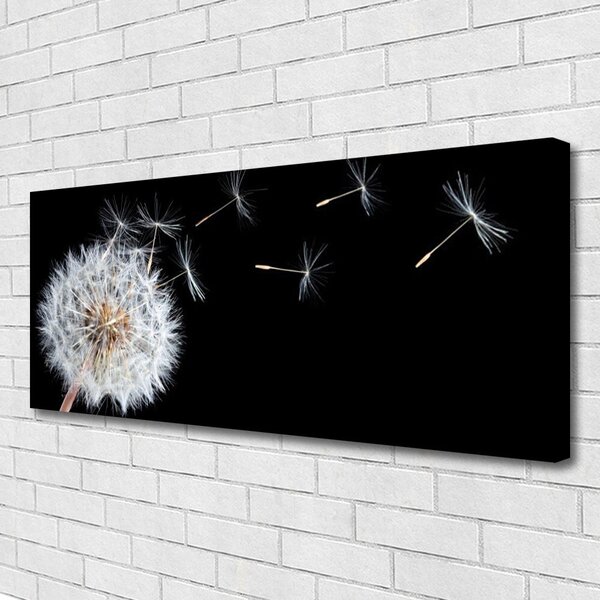 Tablou pe panza canvas Păpădie Floral Alb