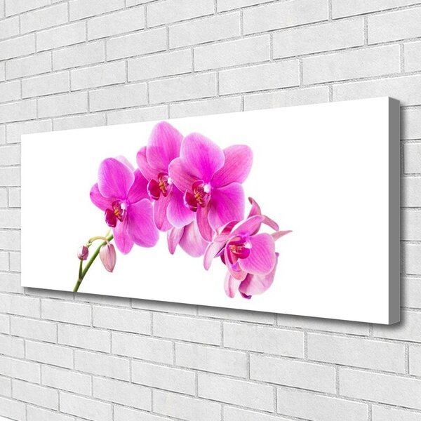 Tablou pe panza canvas Flori roz Floral