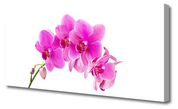 Tablou pe panza canvas Flori roz Floral