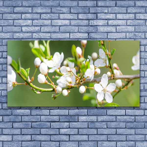 Tablou pe panza canvas Ramuri Flori Floral Verde Alb
