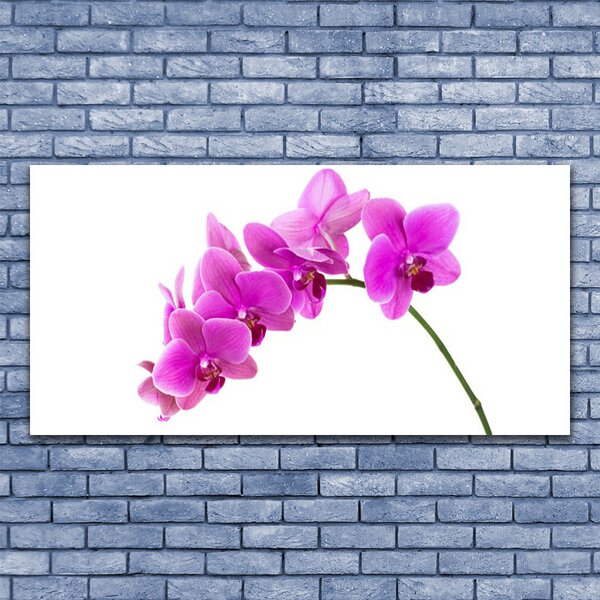 Tablou pe sticla Flori roz Floral