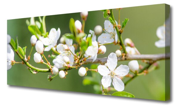 Tablou pe panza canvas Ramuri Flori Floral Verde Alb