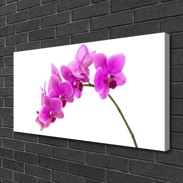 Tablou pe panza canvas Flori roz Floral