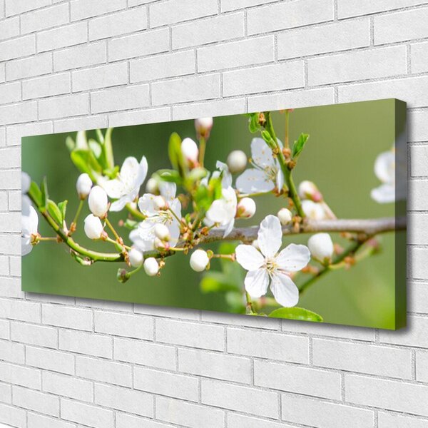 Tablou pe panza canvas Ramuri Flori Floral Verde Alb