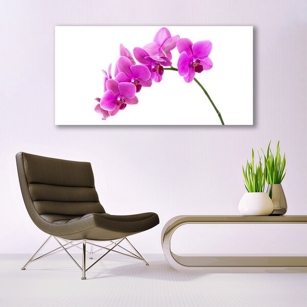 Tablou pe sticla Flori roz Floral