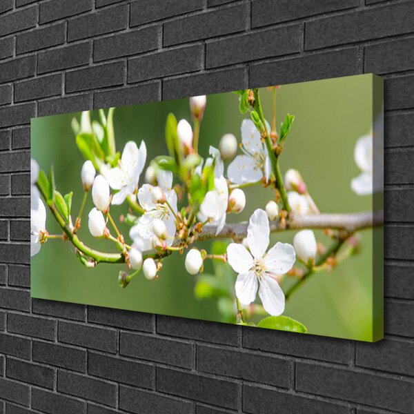 Tablou pe panza canvas Ramuri Flori Floral Verde Alb