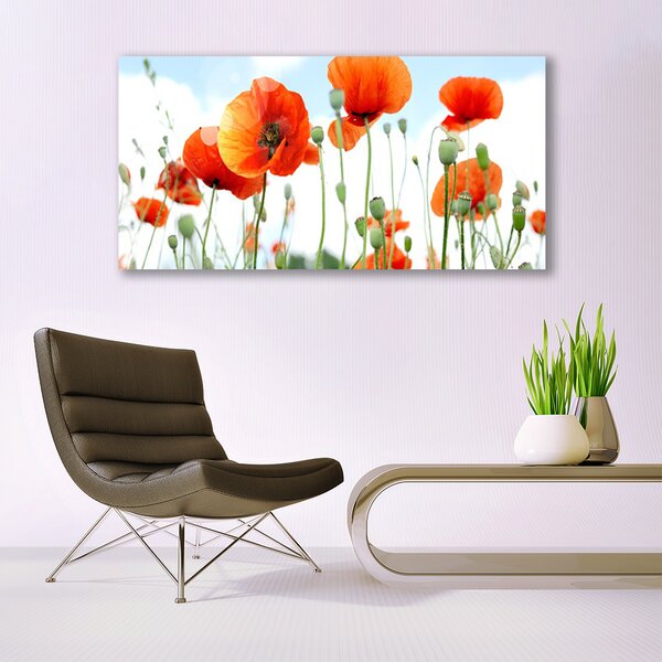 Tablou pe sticla Maci Floral Red