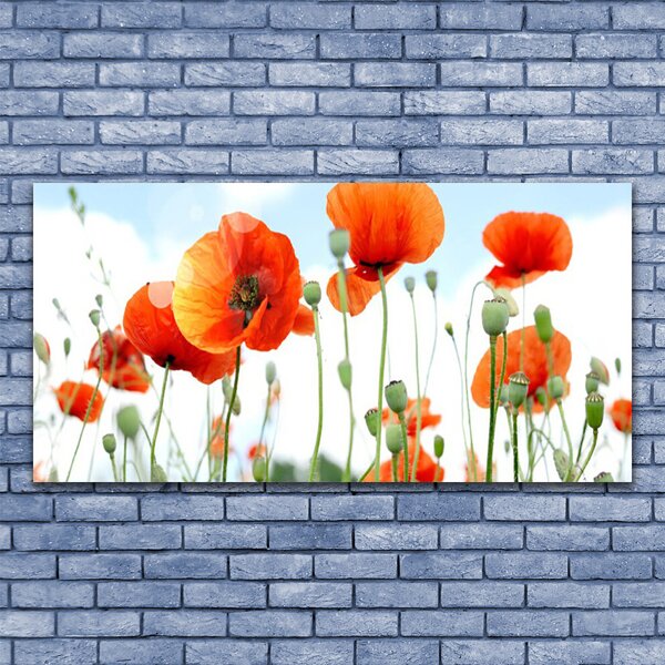 Tablou pe sticla Maci Floral Red