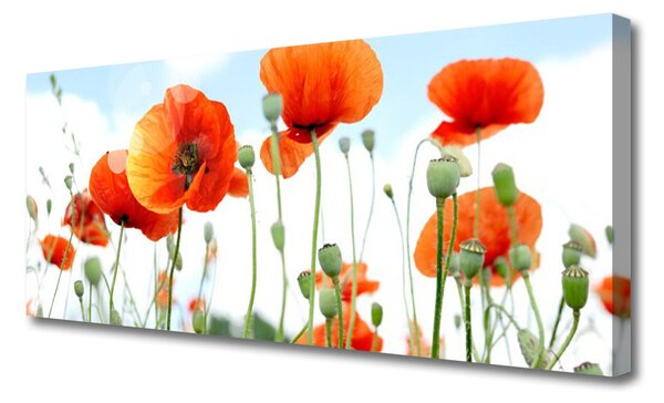 Tablou pe panza canvas Maci Floral Red