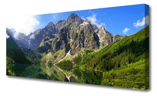 Tablou pe panza canvas Mountain Lake Natura Gri Verde