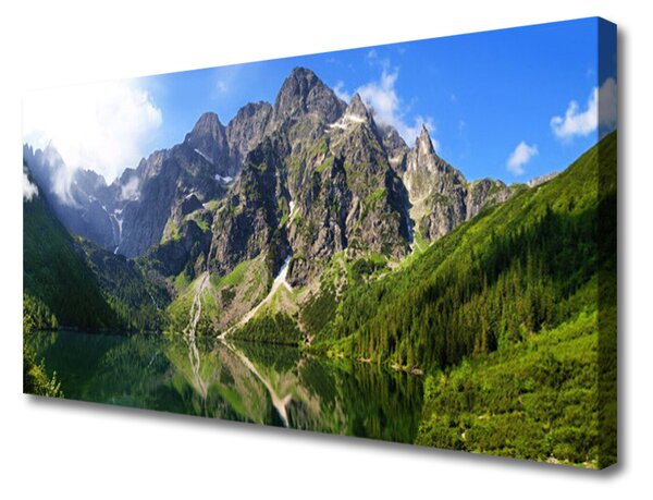 Tablou pe panza canvas Mountain Lake Natura Gri Verde