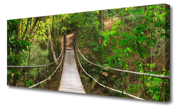 Tablou pe panza canvas Podul Natural Pădurea Verde Maro