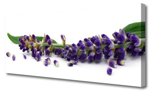 Tablou pe panza canvas Petale Floral Verde Violet