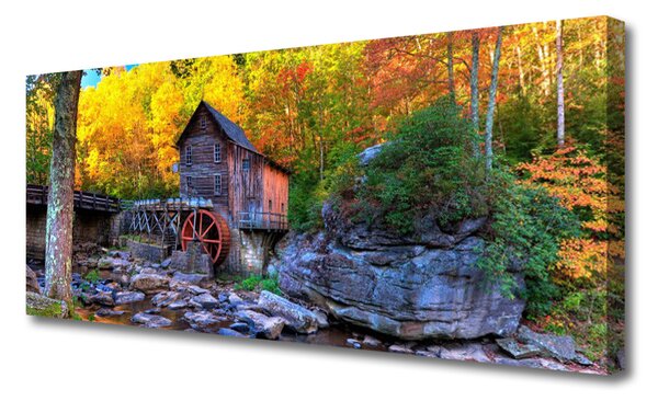 Tablou pe panza canvas Forest Stones Natura Gri Maro Verde Galben