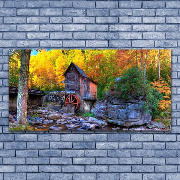 Tablou pe panza canvas Forest Stones Natura Gri Maro Verde Galben