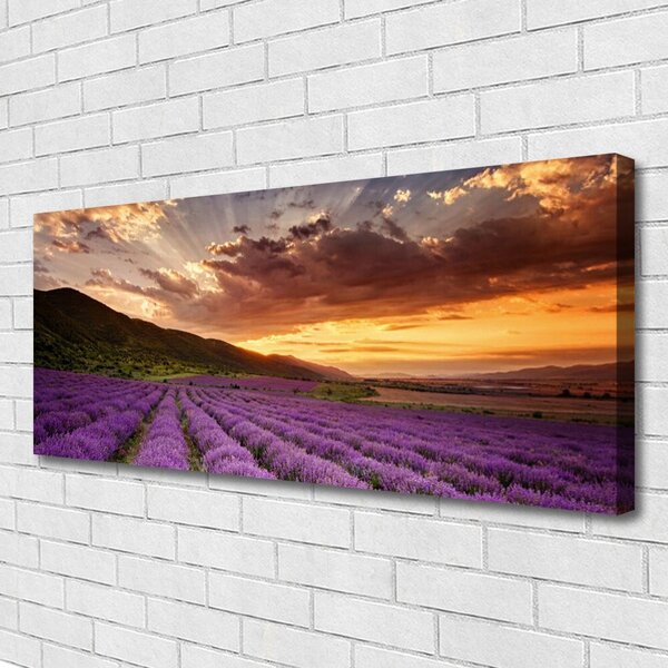 Tablou pe panza canvas Muntii Meadow Flori Peisaj Verde Roz