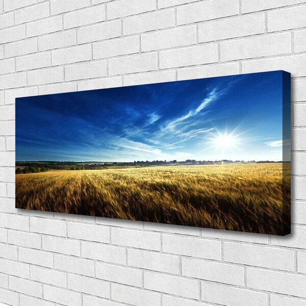 Tablou pe panza canvas Câmp Sky Natura Galben Albastru Alb