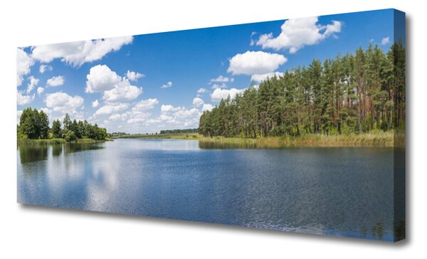 Tablou pe panza canvas Forest Lake Peisaj Verde Albastru