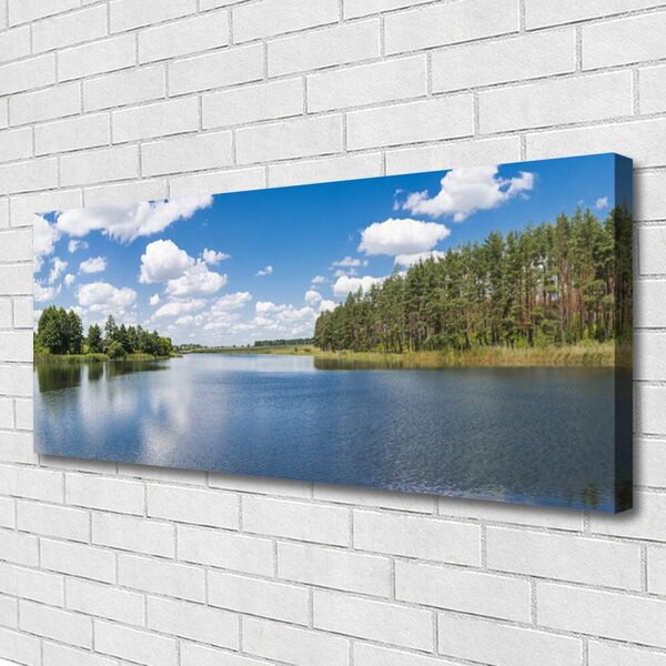 Tablou pe panza canvas Forest Lake Peisaj Verde Albastru