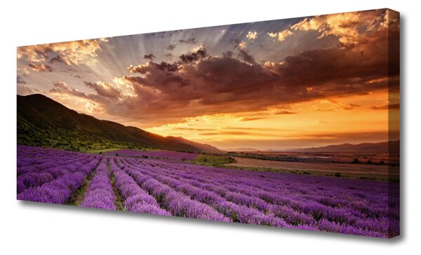 Tablou pe panza canvas Muntii Meadow Flori Peisaj Verde Roz