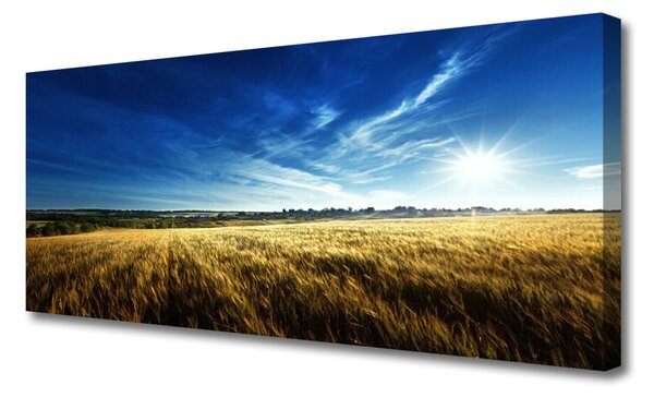Tablou pe panza canvas Câmp Sky Natura Galben Albastru Alb