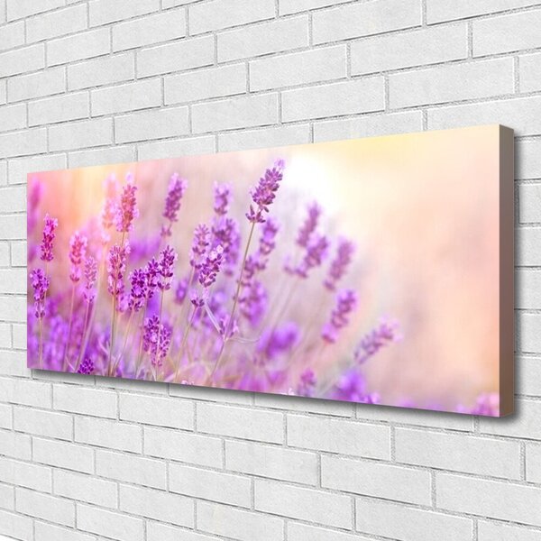 Tablou pe panza canvas Flori roz Floral