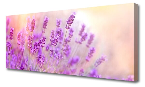 Tablou pe panza canvas Flori roz Floral