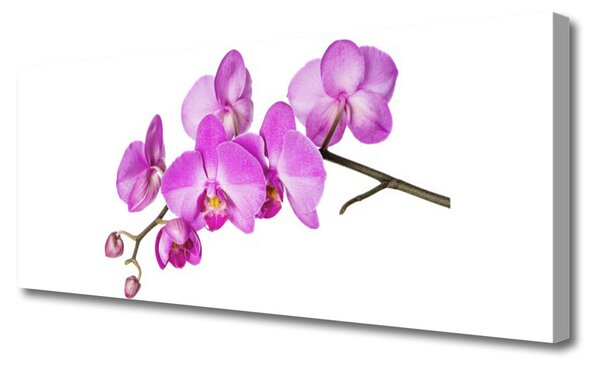 Tablou pe panza canvas Flori roz Floral