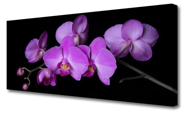 Tablou pe panza canvas Flori roz Floral