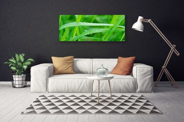 Tablou pe panza canvas Iarbă Natura verde