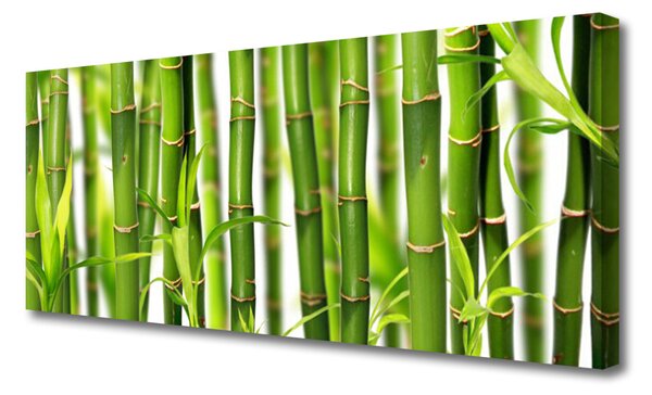 Tablou pe panza canvas Bamboo Tulpini Floral Verde