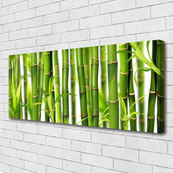 Tablou pe panza canvas Bamboo Tulpini Floral Verde