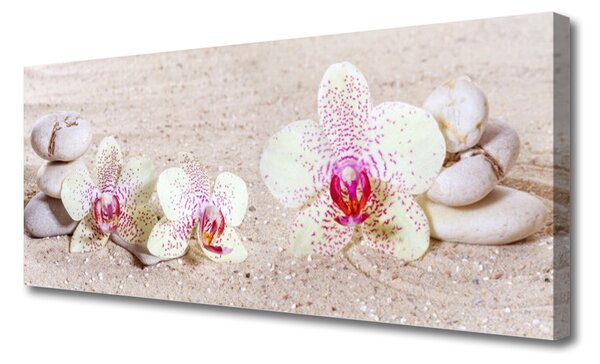 Tablou pe panza canvas Flori Pietre florale albe