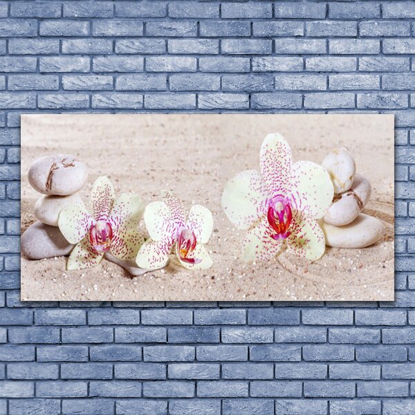 Tablou pe panza canvas Flori Pietre florale albe