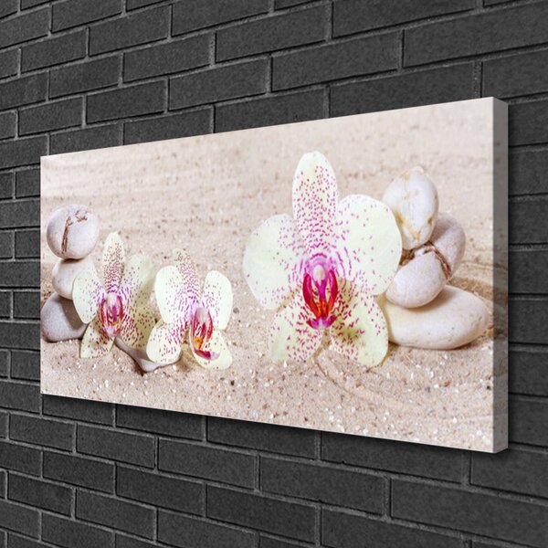 Tablou pe panza canvas Flori Pietre florale albe
