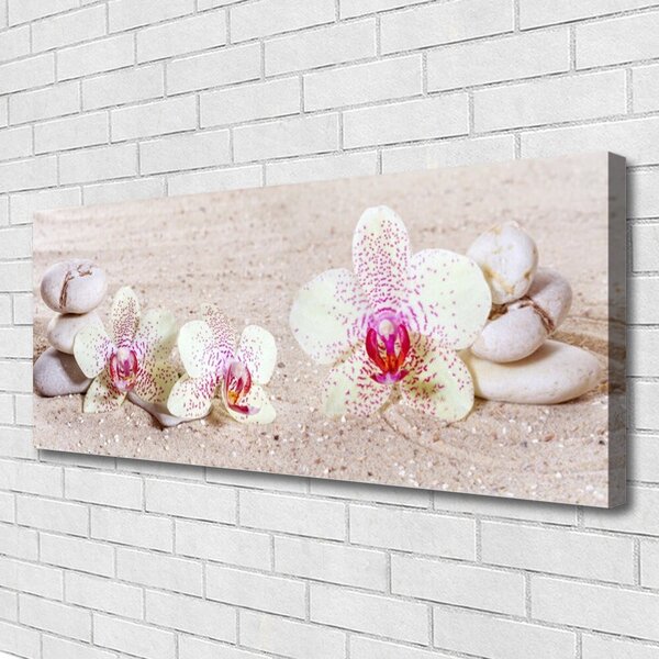 Tablou pe panza canvas Flori Pietre florale albe
