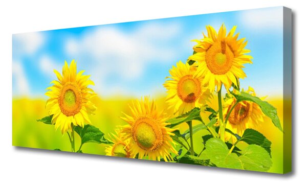 Tablou pe panza canvas Floarea soarelui Floral Galben