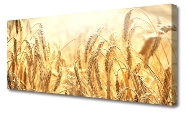 Tablou pe panza canvas Grâu floral galben