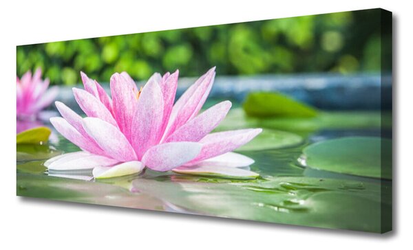 Tablou pe panza canvas Water Flower Art Roz Verde