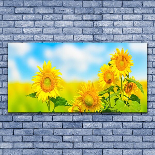 Tablou pe panza canvas Floarea soarelui Floral Galben