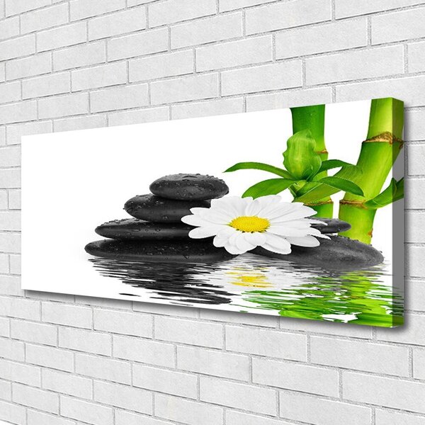 Tablou pe panza canvas Bamboo Tub flori Stones Floral Verde Alb Negru