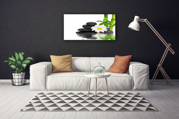 Tablou pe panza canvas Bamboo Tub flori Stones Floral Verde Alb Negru