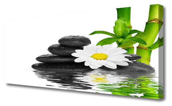 Tablou pe panza canvas Bamboo Tub flori Stones Floral Verde Alb Negru