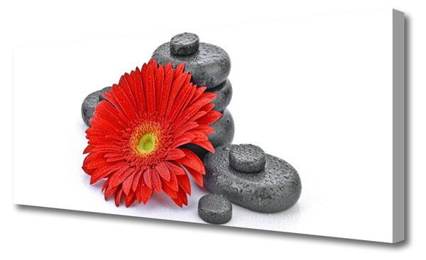 Tablou pe panza canvas Pietrele florale flori Roșu Gri