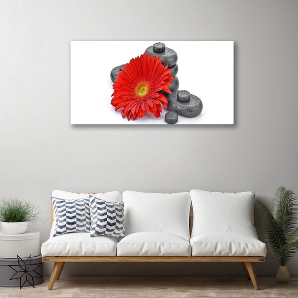 Tablou pe panza canvas Pietrele florale flori Roșu Gri