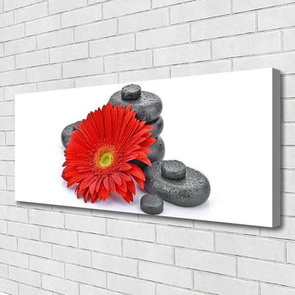 Tablou pe panza canvas Pietrele florale flori Roșu Gri