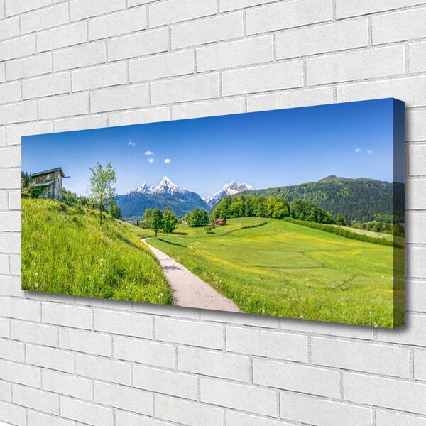 Tablou pe panza canvas Meadow Potecă Natura Verde Maro