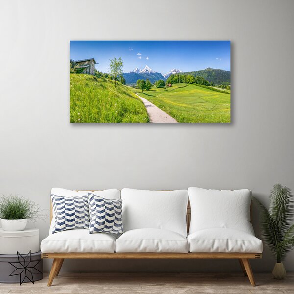 Tablou pe panza canvas Meadow Potecă Natura Verde Maro